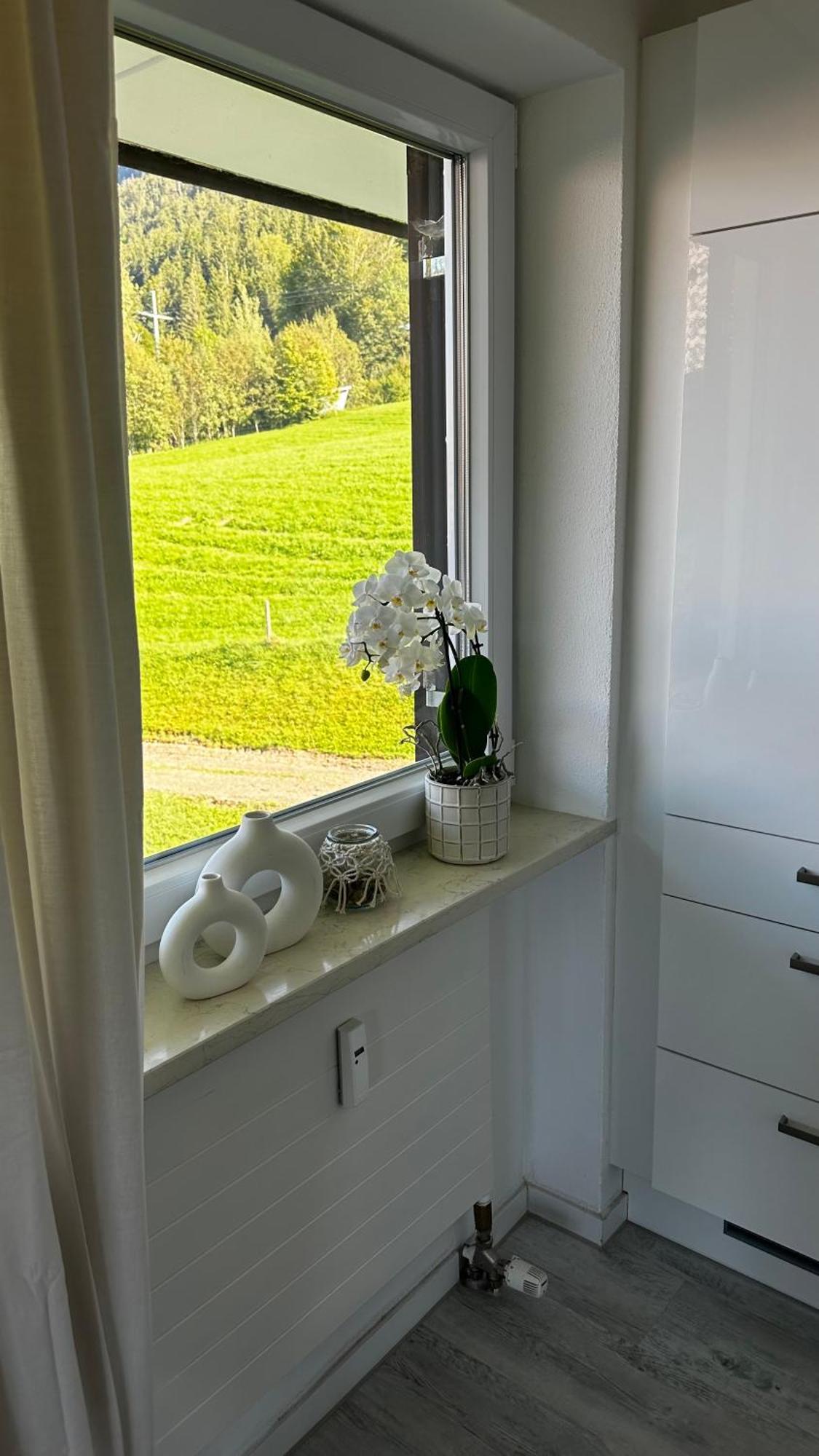 Gemuetliche Ferienwohnung Mit Berg Und Alpsee Panorama Im Allgaeu Immenstadt im Allgäu Esterno foto